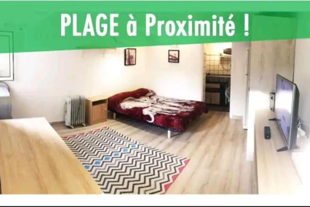 Les Palmiers - Studio Cosy Proche Plages Et Centre *